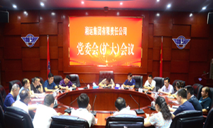 集团公司召开党委（扩大）会议